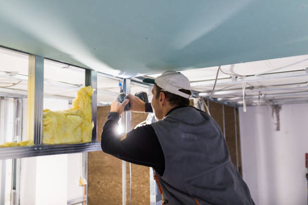 Types of Insulation We Offer in Rome, IL