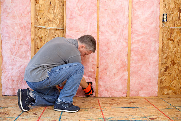 Best Energy Efficiency Insulation in Rome, IL